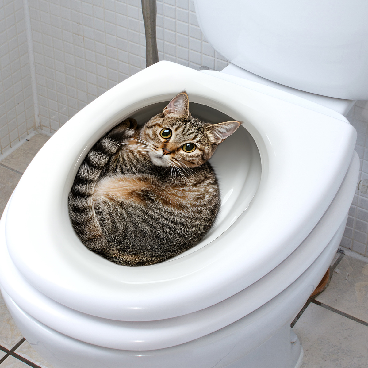 Autocollant de toilette chat d - Tiny Home Bathroom Kit avis et prix